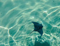 /album/fotogalerie-moje-outside-prace-/2959a556-2d25-4319-8345-d76ebddafdc3-jpg/