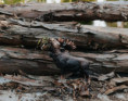 /album/fotogalerie-moje-outside-prace-/d899f296-577e-4ed5-8333-e948b28964c6-jpg/
