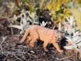/album/fotogalerie-moje-outside-prace-/85d94fff-89fe-407e-92cc-6ceaa04b37b3-jpg/