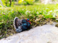 /album/fotogalerie-moje-outside-prace-/a3e7d1b5-9de1-44ae-ae50-14cc325c1275-jpg/