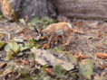 /album/fotogalerie-moje-outside-prace-/b4583b48-087a-4661-a67f-7dbb2c1eba0c-jpg/