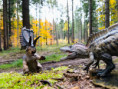 /album/fotogalerie-dinosauri/c8592315-4b95-4698-b38d-34ab35da3cee-jpg/