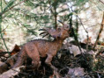/album/fotogalerie-dinosauri/6753b5b2-4222-425f-8f98-3bb7d6d4c3bb-jpg/