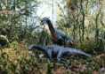 /album/fotogalerie-dinosauri/5fd65022-c72a-4535-b108-dd12a1fa5fbf-jpg/