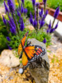 /album/fotogalerie-moje-outside-prace-/img-20260728-074808-jpg/