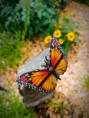/album/fotogalerie-moje-outside-prace-/img-20260728-074840-jpg/