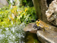 /album/fotogalerie-moje-outside-prace-/img-20260727-142351-jpg/