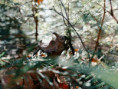 /album/fotogalerie-moje-outside-prace-/89e73419-2f65-4aea-a3c5-66acb4be8527-jpg1/