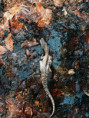 /album/fotogalerie-moje-outside-prace-/94db5def-f86f-405b-bf54-d38f71c568bd-jpg1/