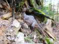 /album/fotogalerie-moje-outside-prace-/1f2ea8c7-13b2-4827-82c3-068928597ebc-jpg1/
