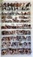 /album/fotogalerie-moje-sbirka-my-collection1/martinh-collection-vitrines-2026-02-jpg/