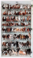 /album/fotogalerie-moje-sbirka-my-collection1/martinh-collection-vitrines-2026-05-jpg/