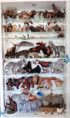 /album/fotogalerie-moje-sbirka-my-collection1/martinh-collection-vitrines-2026-15-jpg/