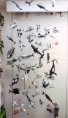 /album/fotogalerie-moje-sbirka-my-collection1/martinh-collection-vitrines-2026-16-jpg/