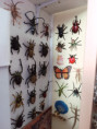 /album/fotogalerie-moje-sbirka-my-collection1/martinh-collection-vitrines-2026-18-jpg/