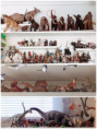 /album/fotogalerie-moje-sbirka-my-collection1/martinh-collection-vitrines-2026-19-jpg/