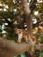 /album/fotogalerie-moje-outside-prace-/85f0d2ad-209b-4349-a6be-6c8f1de98ef9-jpg/