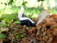 /album/fotogalerie-moje-outside-prace-/99cc92f9-476b-40a2-b7ef-52b0a61f05e5-jpg/