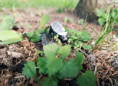 /album/fotogalerie-moje-outside-prace-/02544bb5-a007-417c-9436-6014efae0f34-jpg/