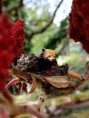 /album/fotogalerie-moje-outside-prace-/eeee8695-1feb-4a69-8a01-b8bb6c0d5365-jpg/