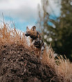 /album/fotogalerie-moje-outside-prace-/83d54087-d675-41ad-a191-2c7a3910df28-jpg/