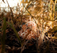 /album/fotogalerie-moje-outside-prace-/23224dbc-ad48-41de-92f7-50e9e583c0e8-jpg/