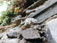 /album/fotogalerie-moje-outside-prace-/9a0979fa-af85-4dcb-a00c-e0ea14f1555e-jpg/