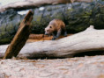 /album/fotogalerie-moje-outside-prace-/b5ac29fd-04f6-4e44-a6e0-4f70445a5047-jpg/