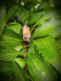 /album/fotogalerie-moje-outside-prace-/4cc7bb8d-bf5a-464e-991c-d755a52420fc-jpg/